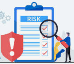 Risk Committee