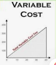 Expense Variance Reports