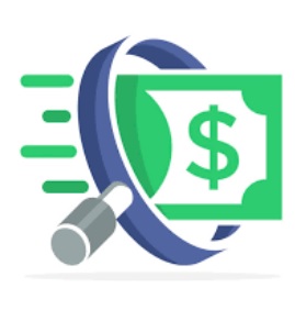Financial Audit